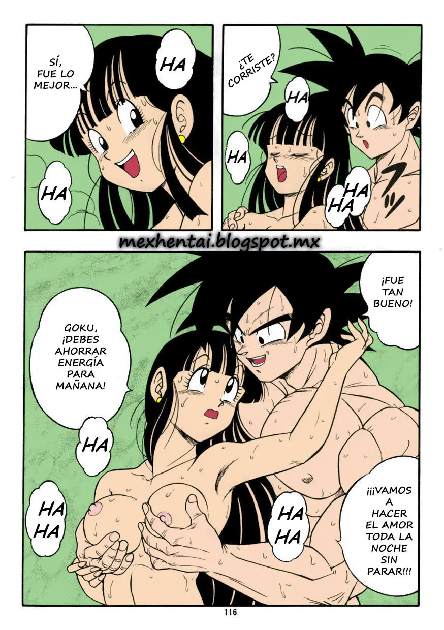 Página 17
