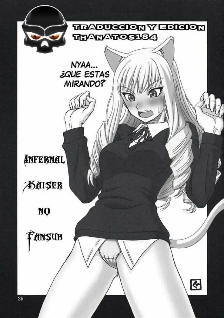 Página 26