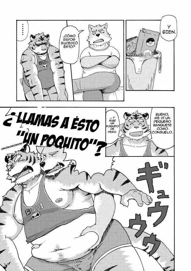 Página 12