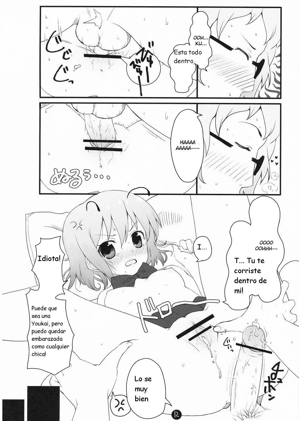 Página 12