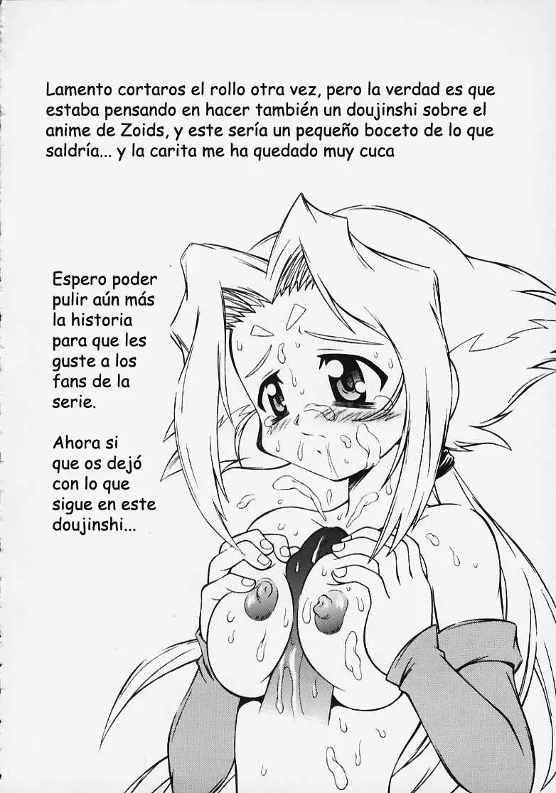 Página 17
