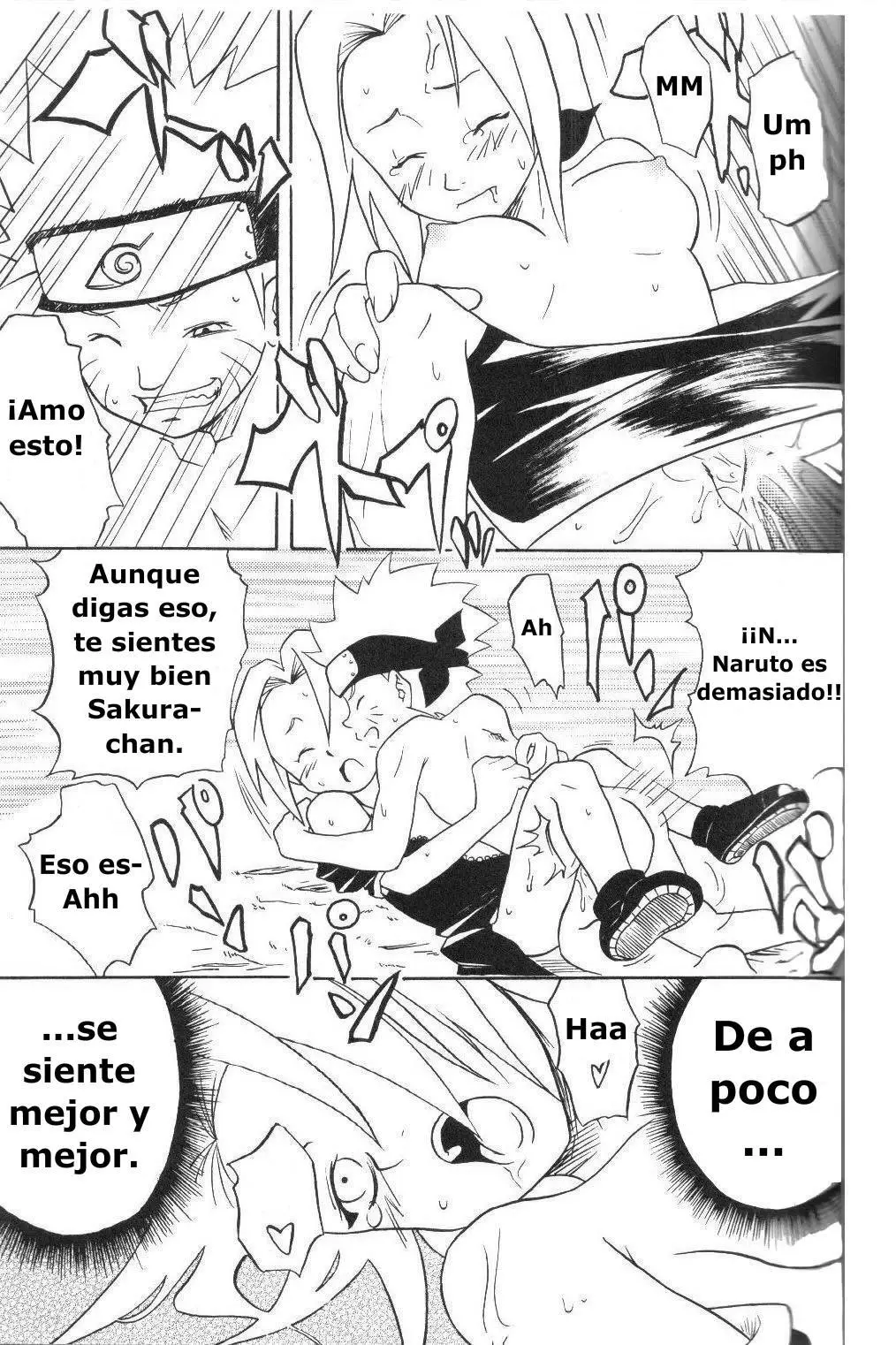 Página 17