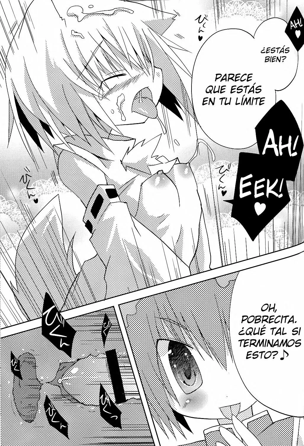Página 17