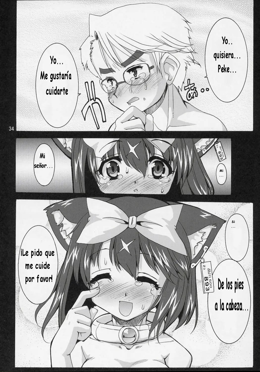 Página 33