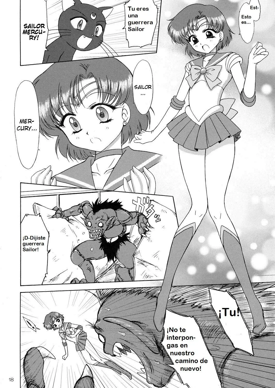 Página 17