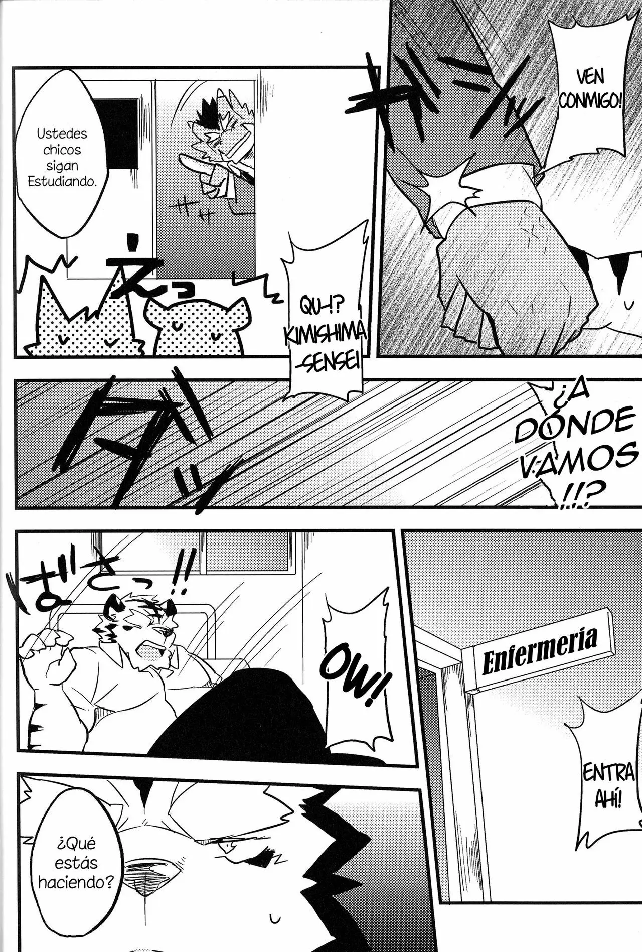Página 17