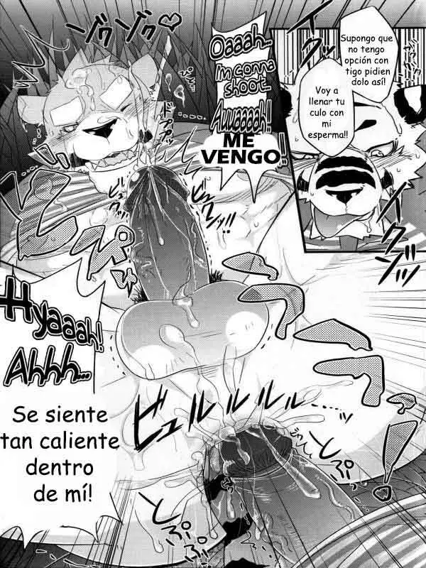 Página 15