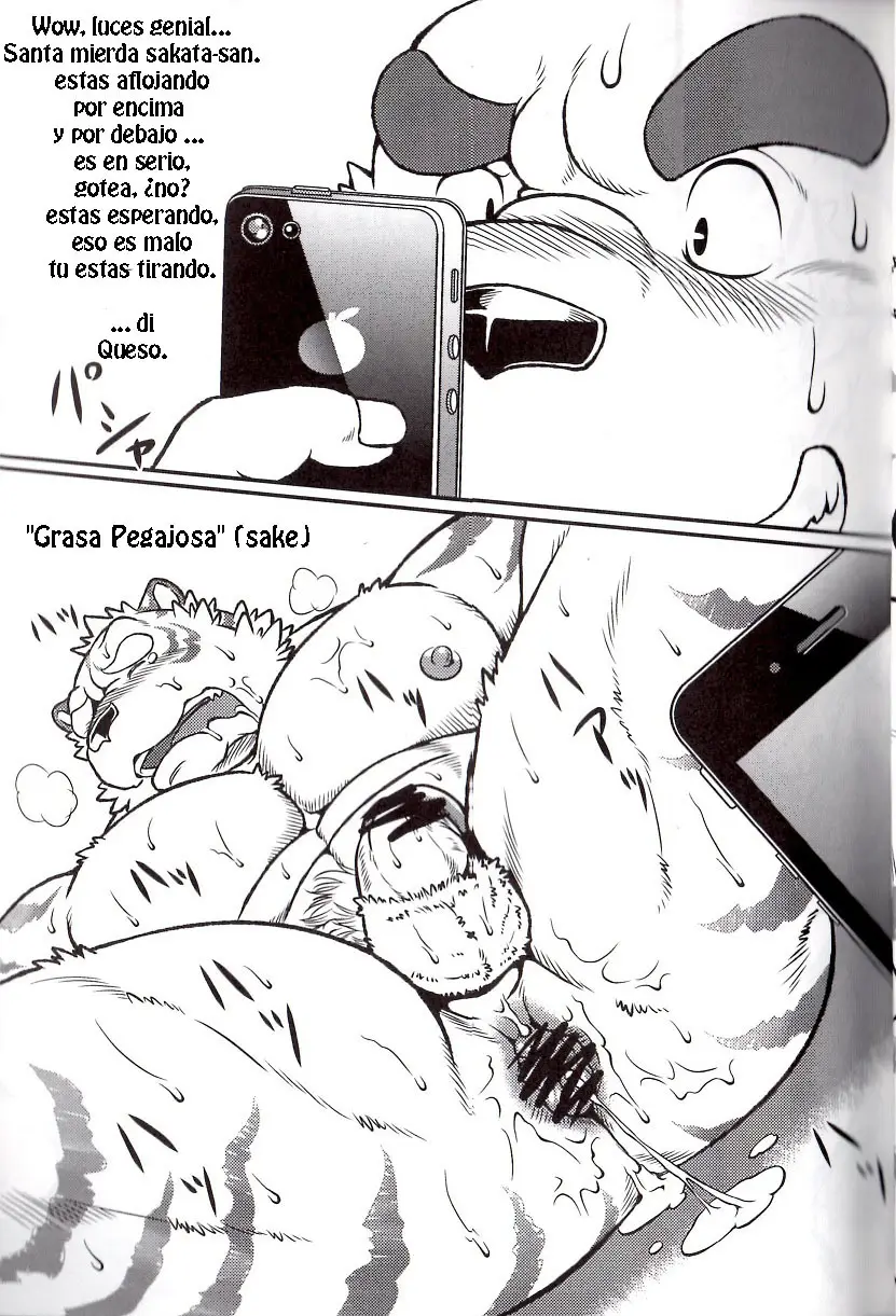 Página 14