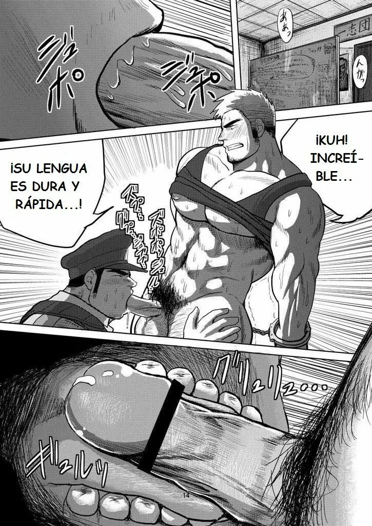 Página 13