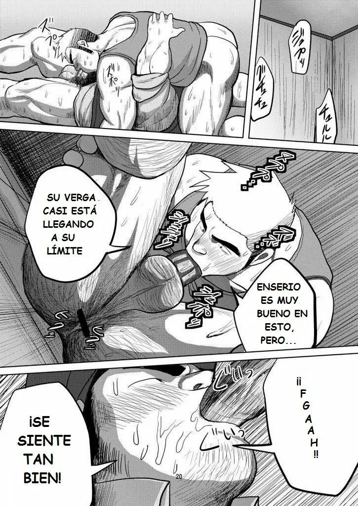 Página 19