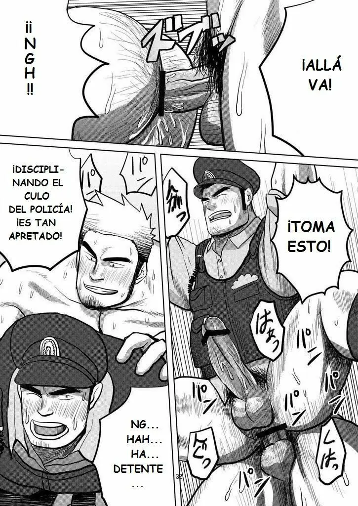 Página 31