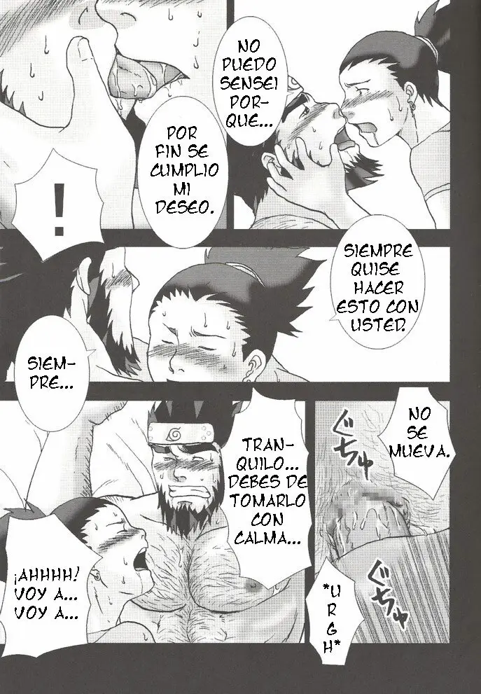 Página 14