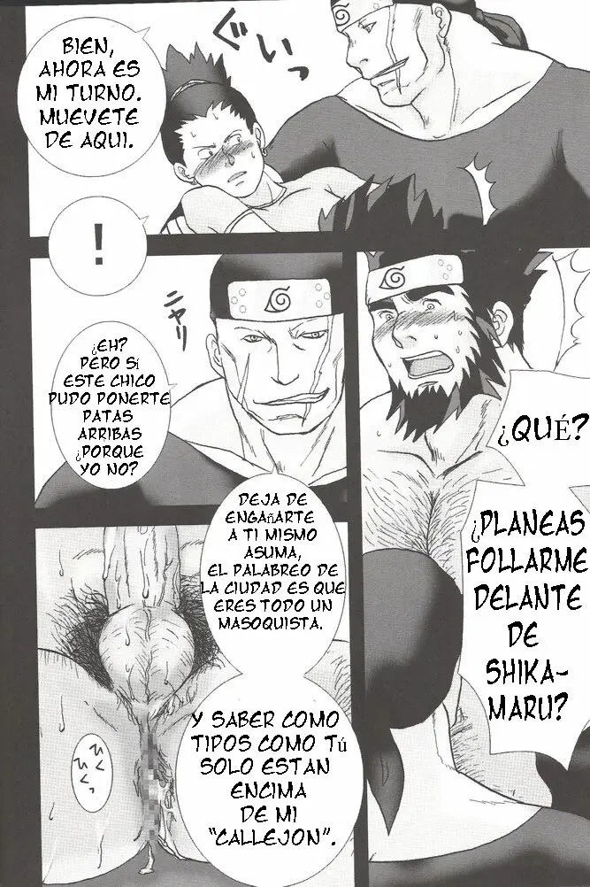 Página 17