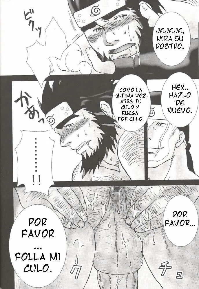 Página 19