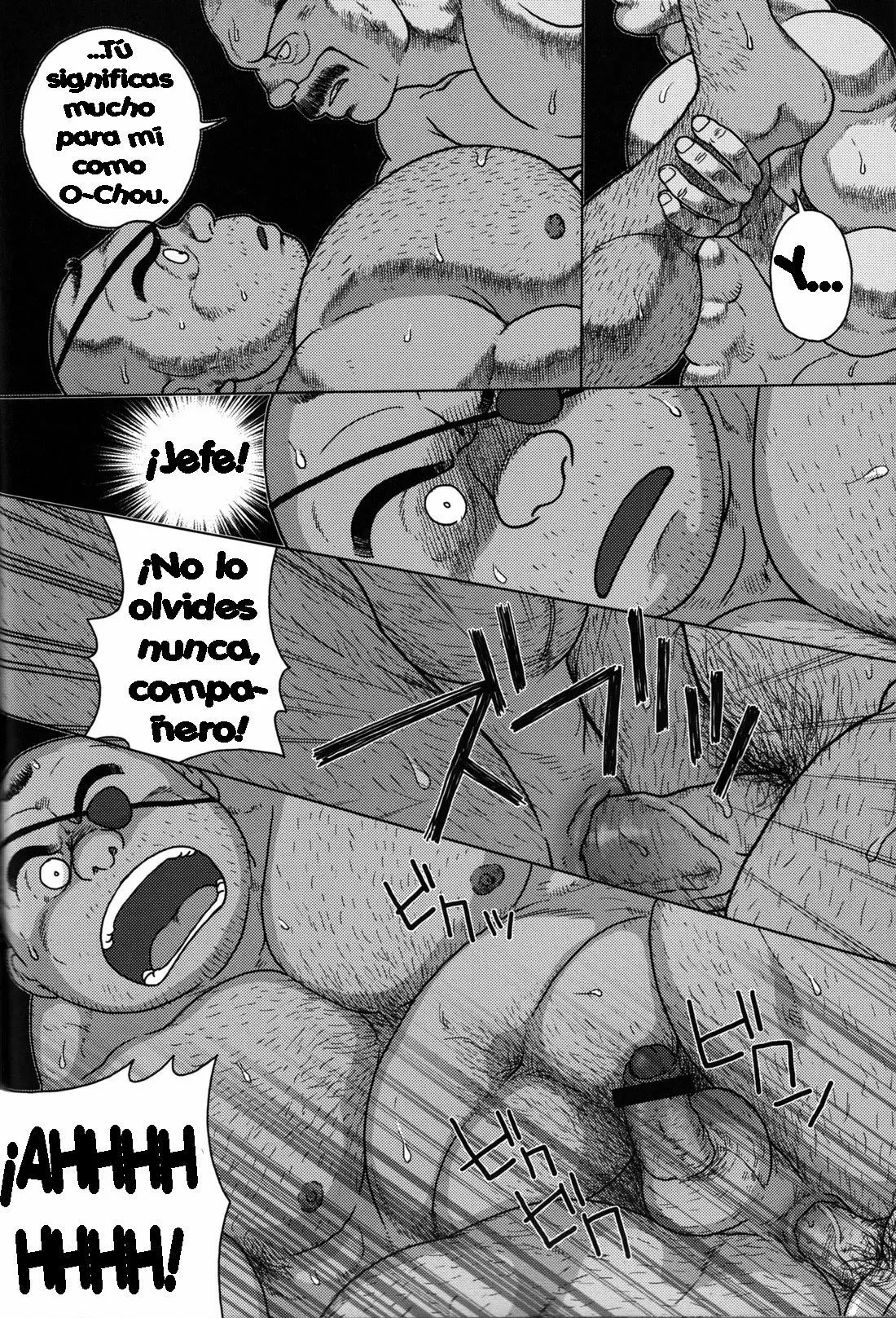 Página 21