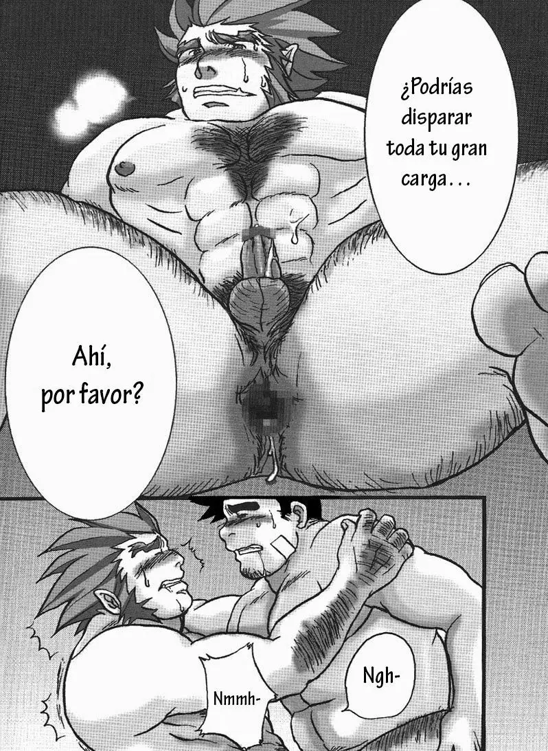 Página 12
