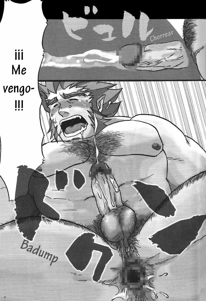 Página 15