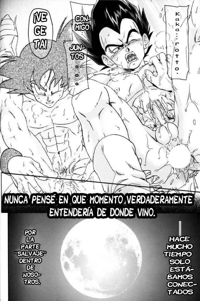 Página 26