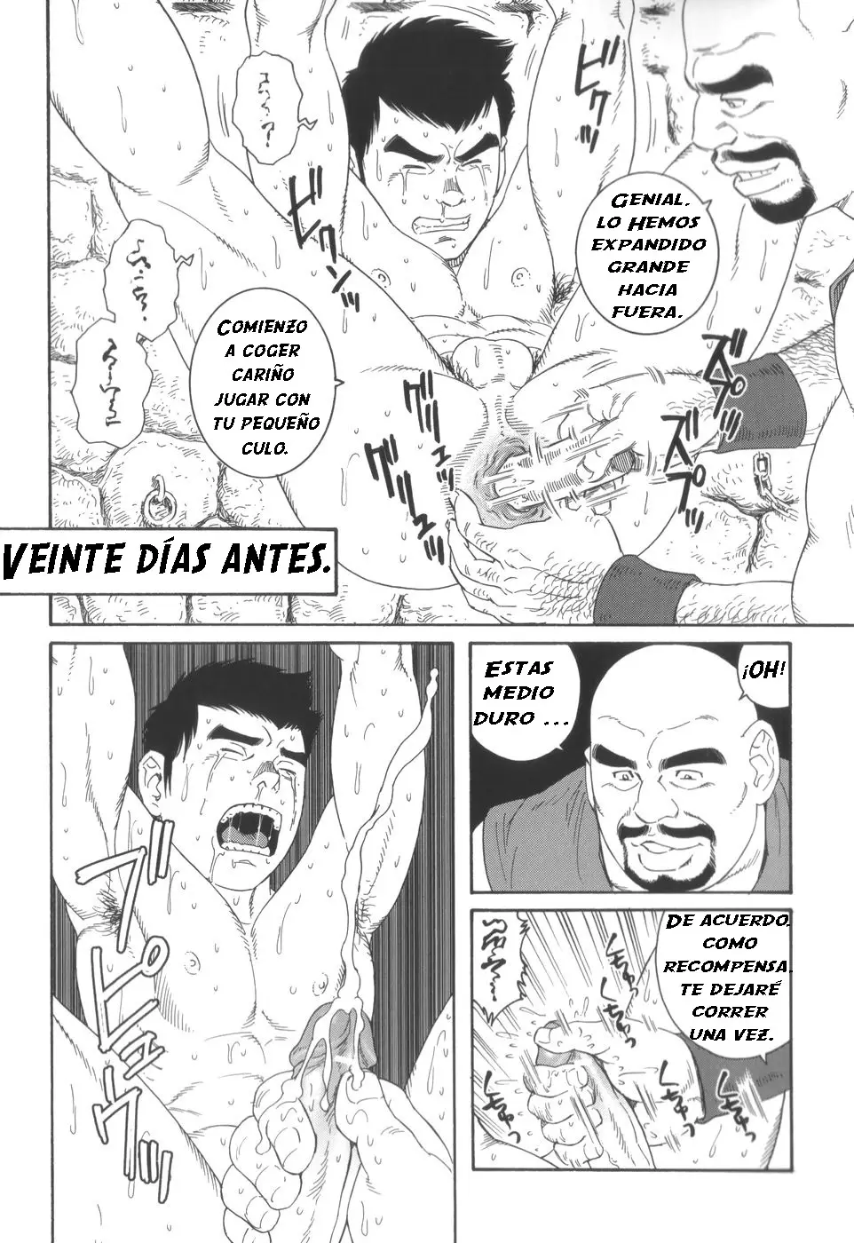 Página 11
