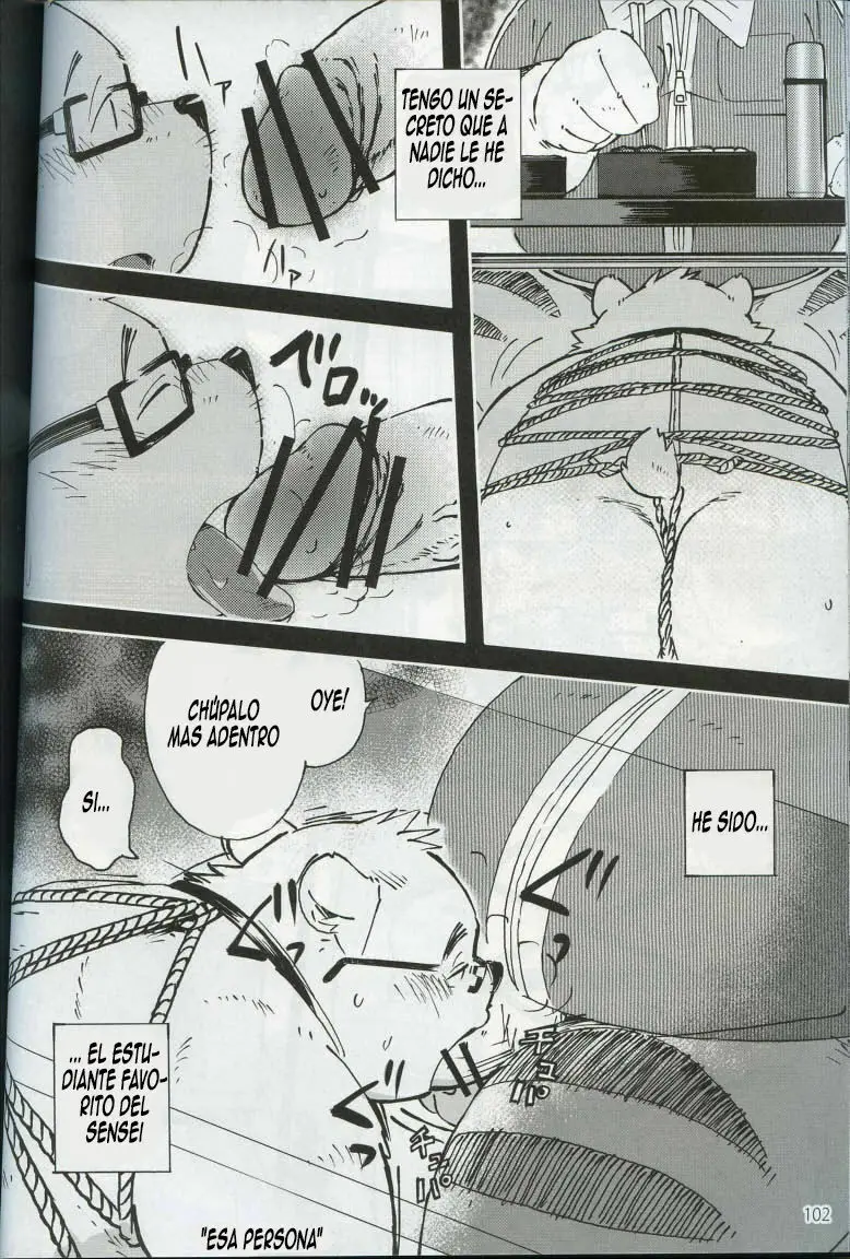 Página 32