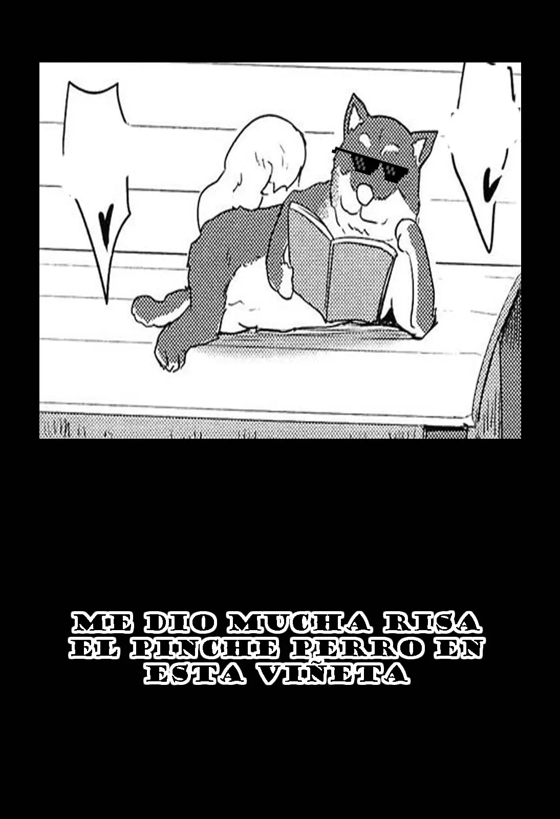 Página 51