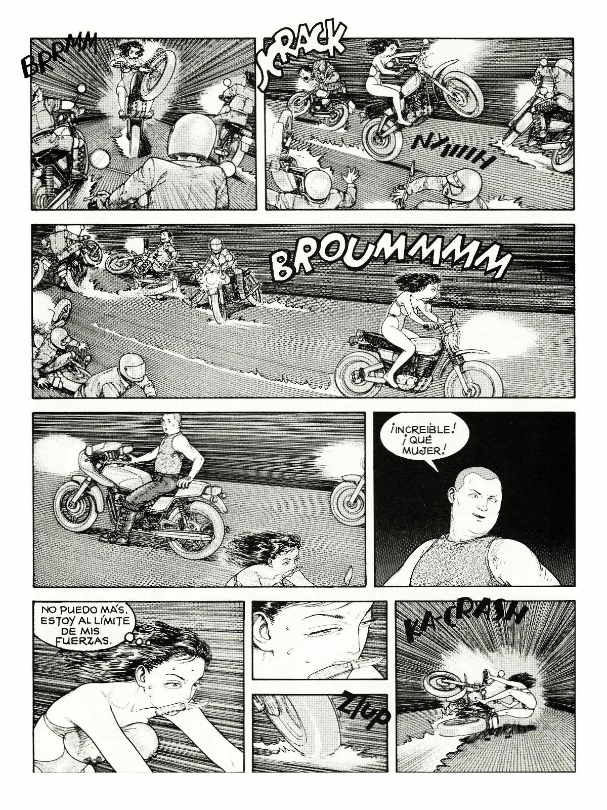 Página 29