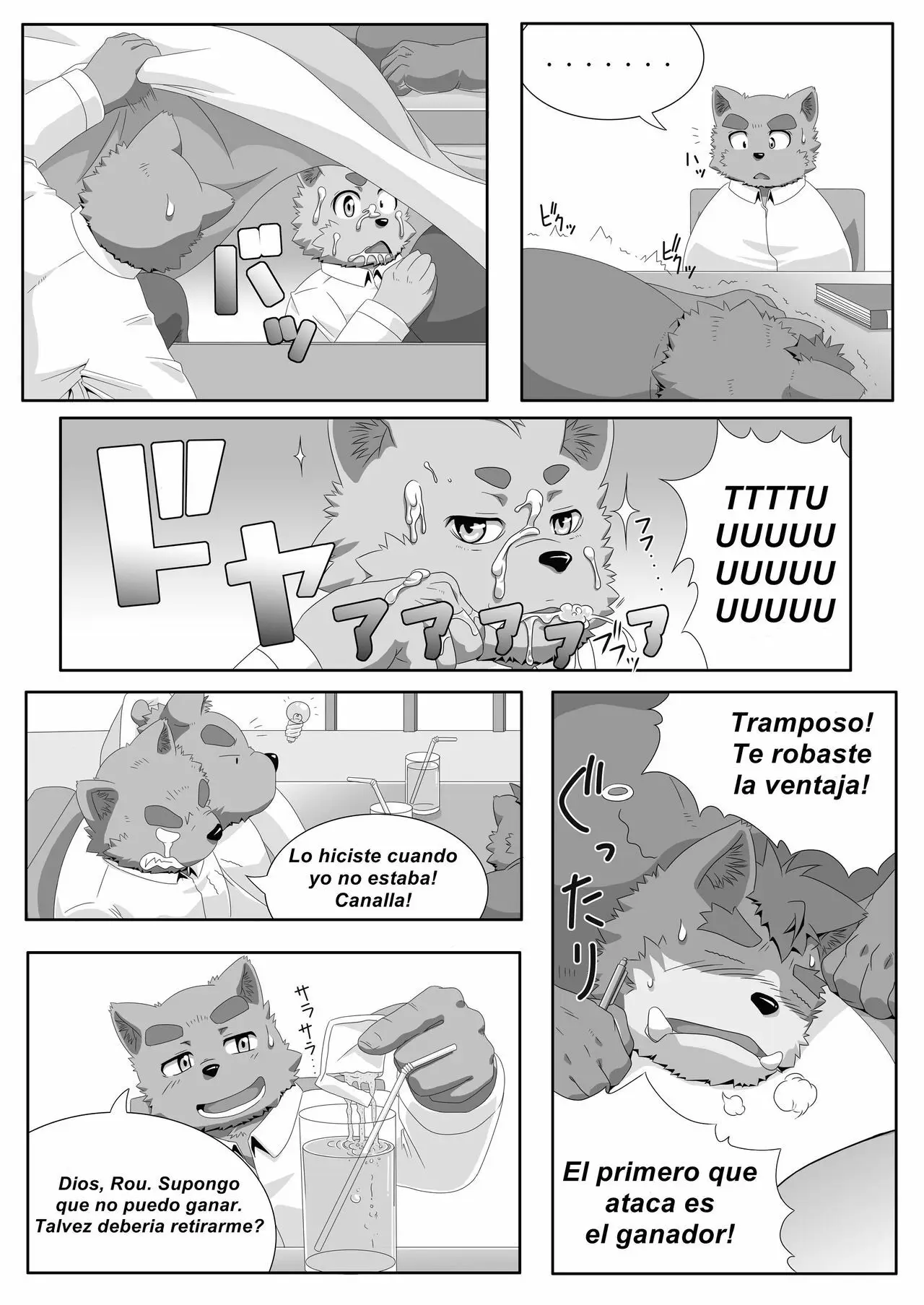 Página 19