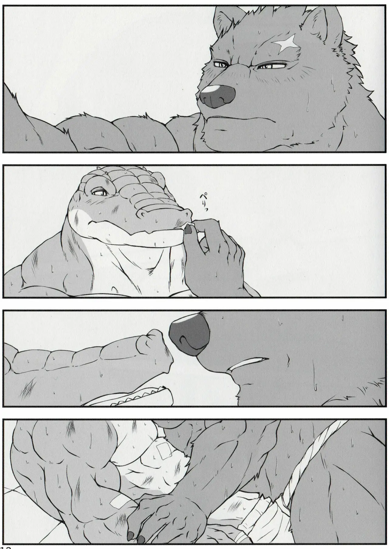 Página 12