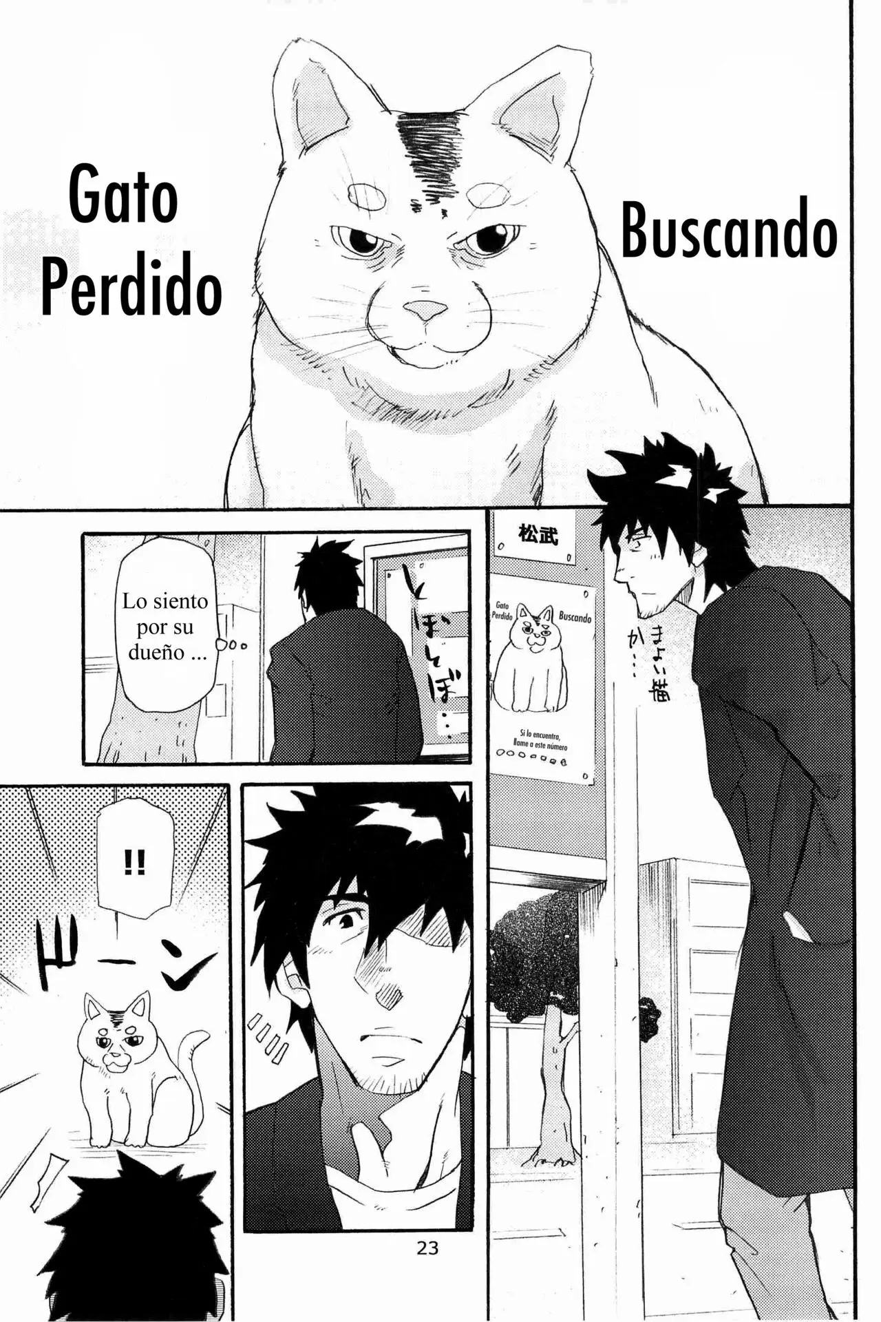 Página 22