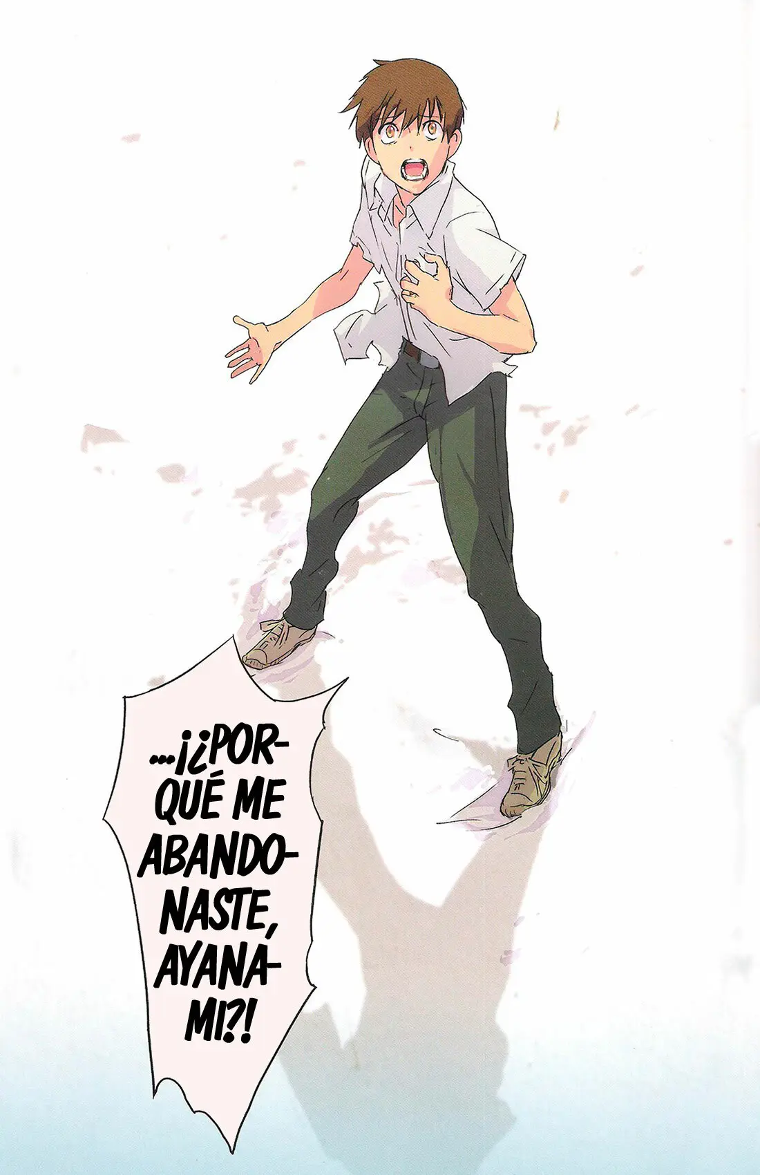 Página 12