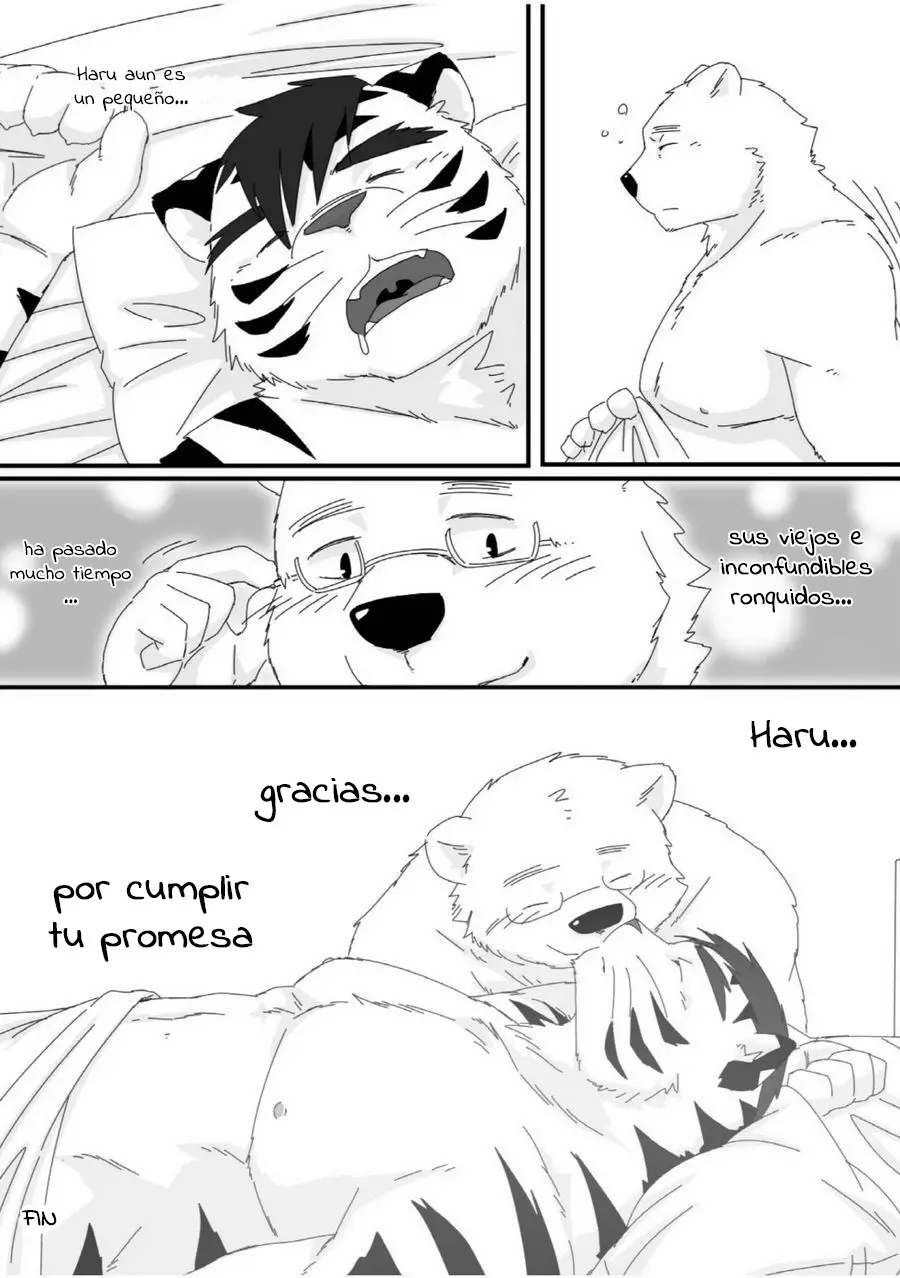 Página 26