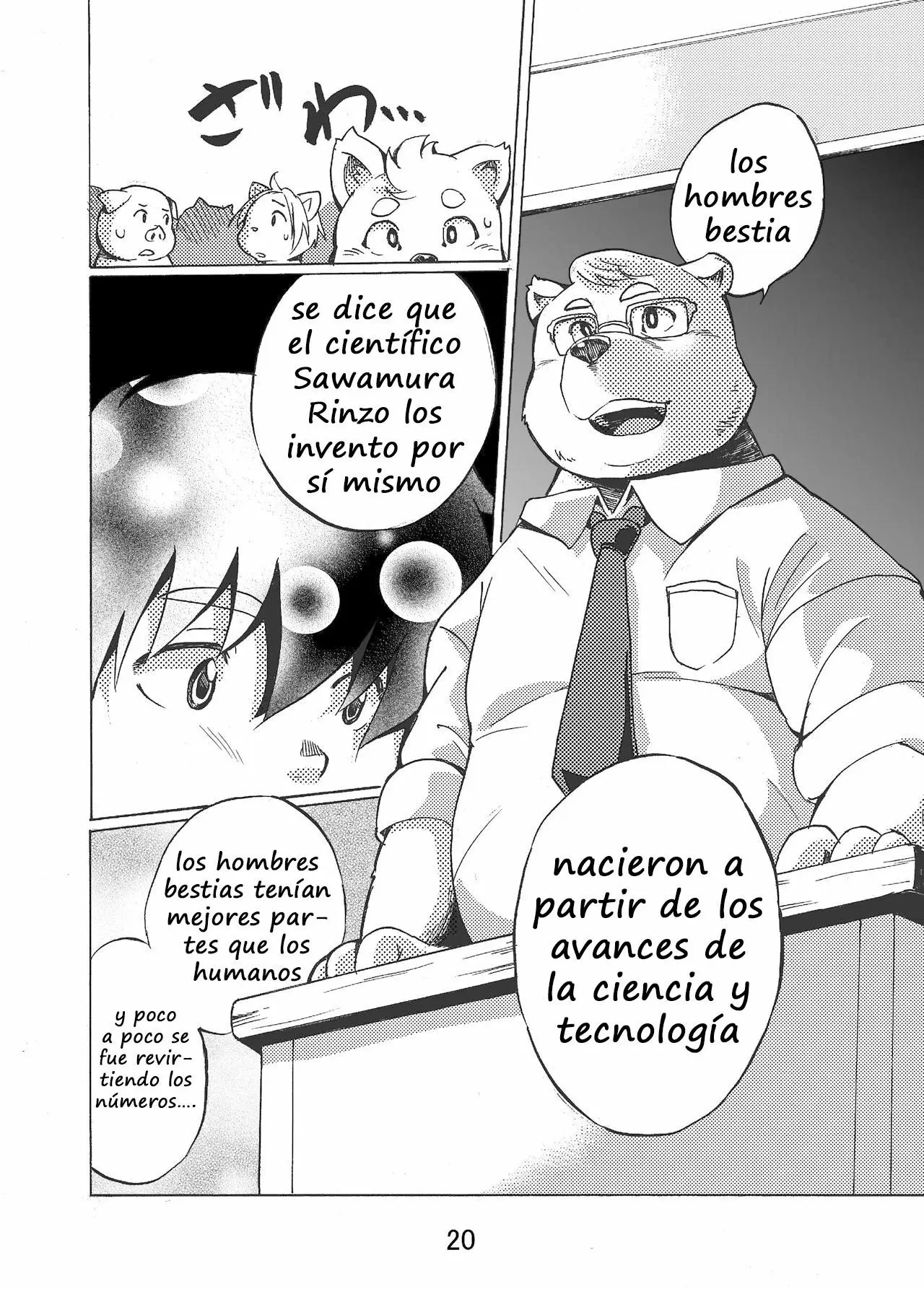 Página 19
