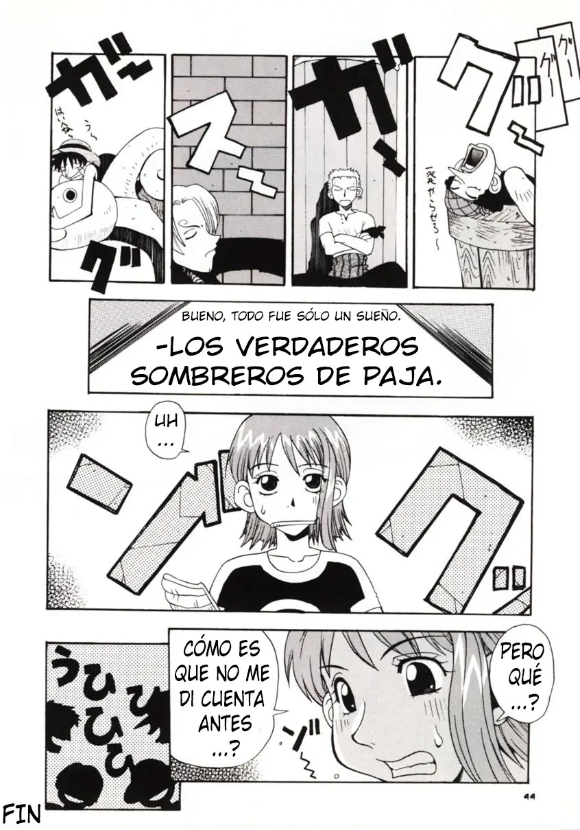 Página 43