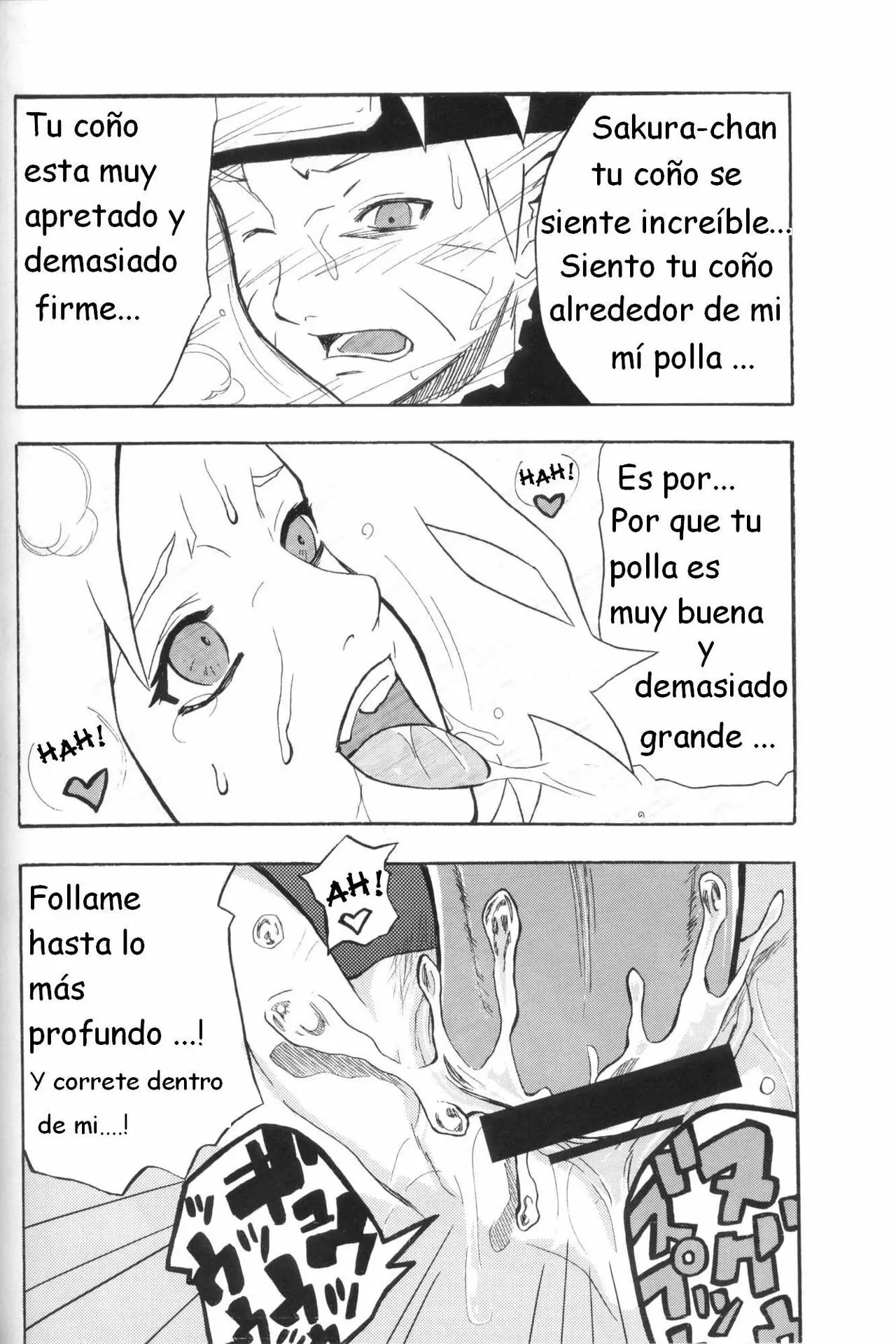 Página 19