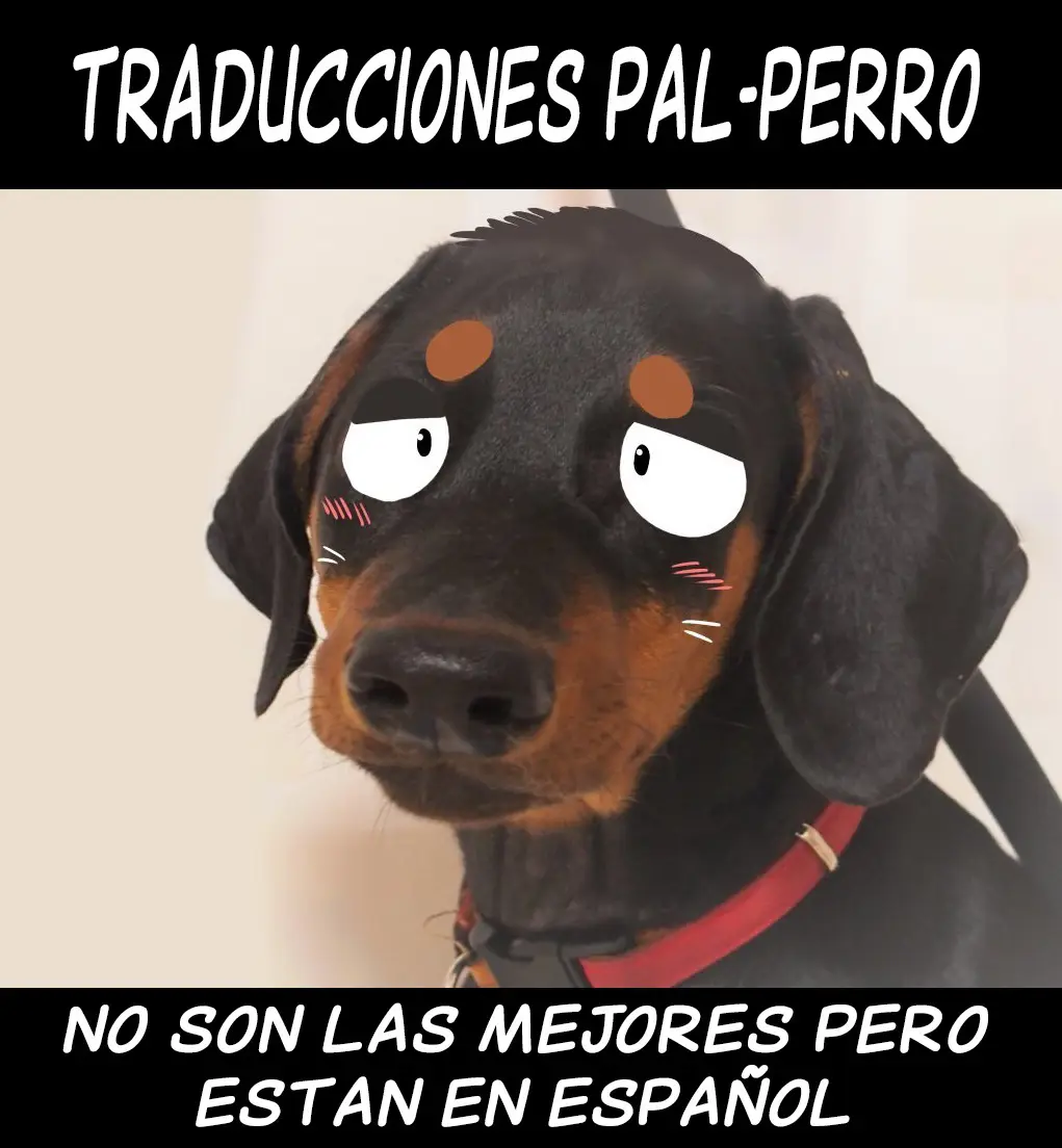 Página 45