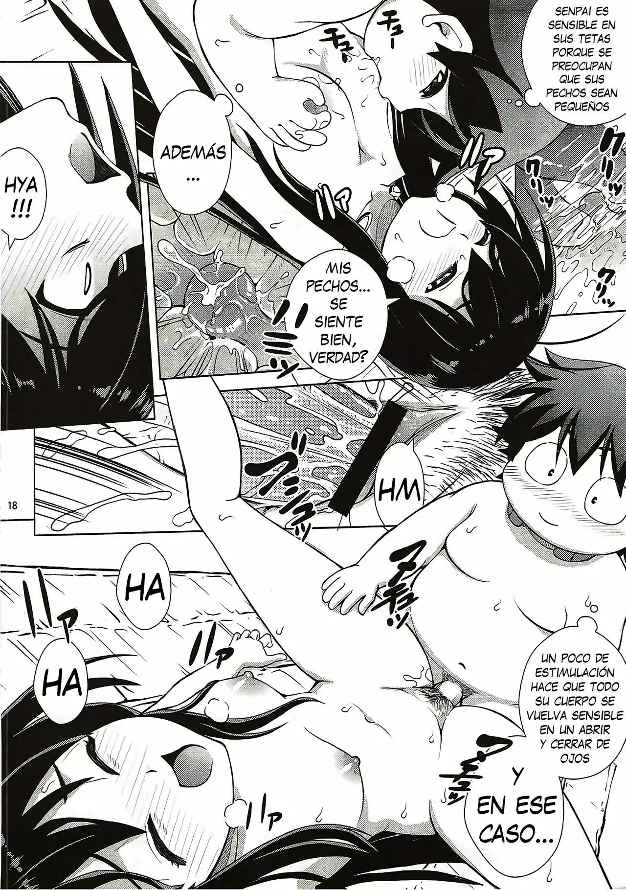 Página 17