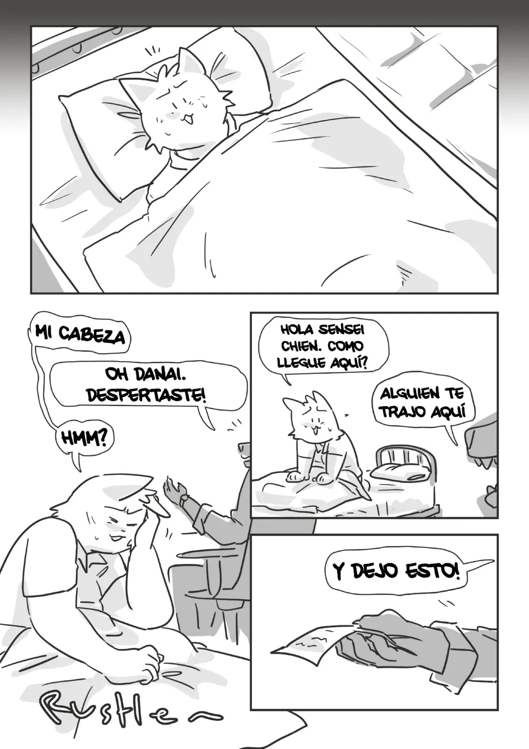 Página 17