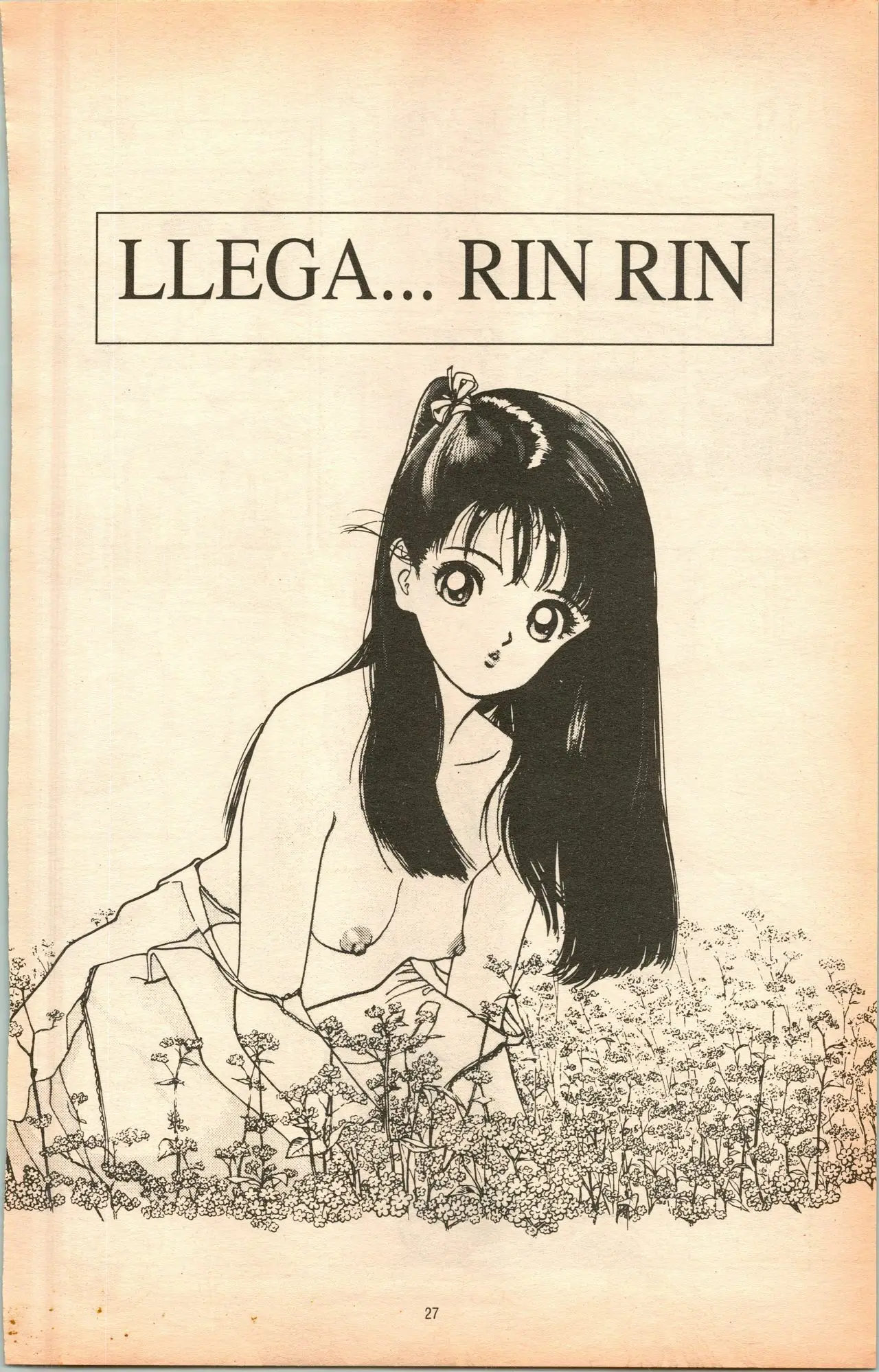 Página 29