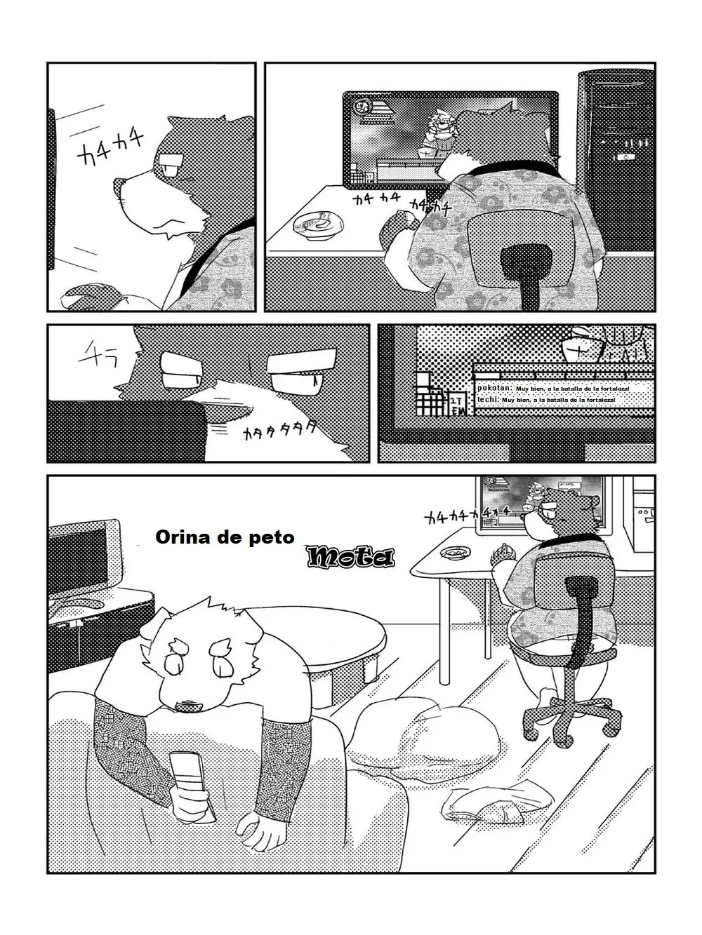 Página 15