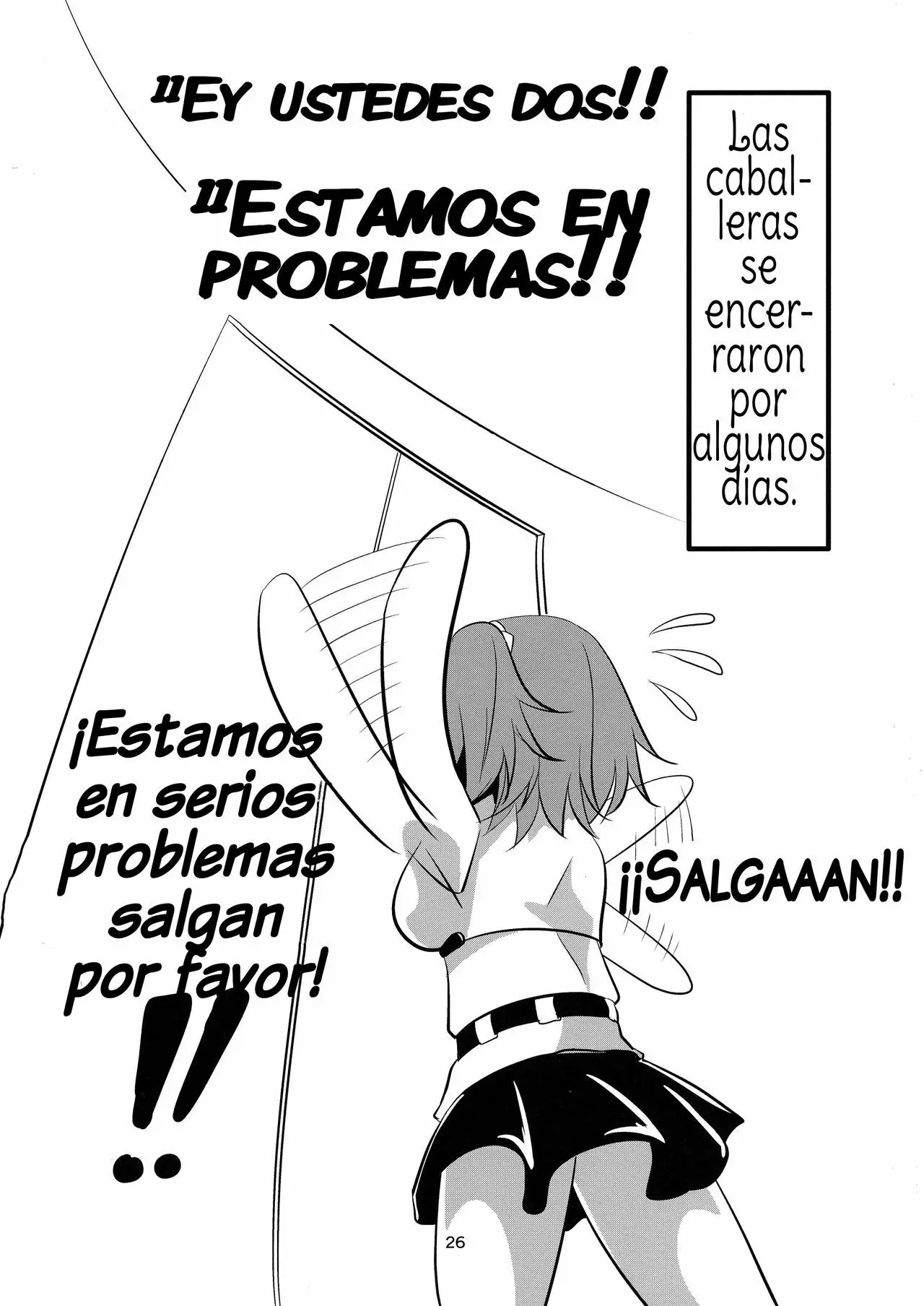 Página 26