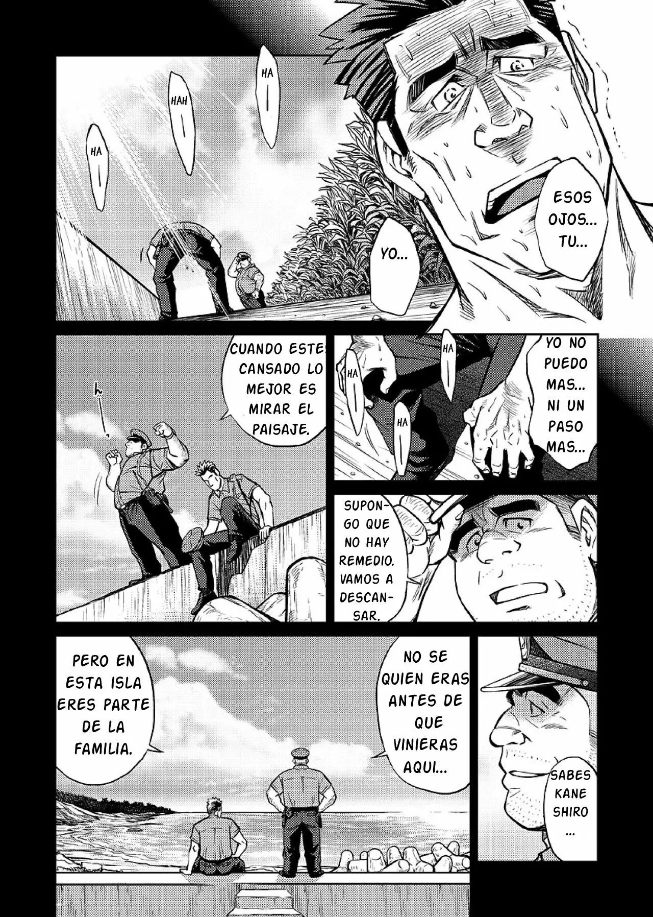 Página 17