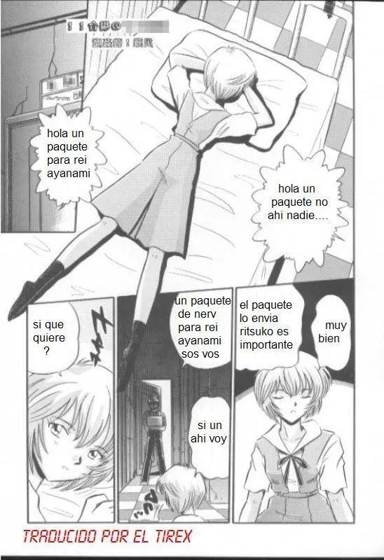 Página 13