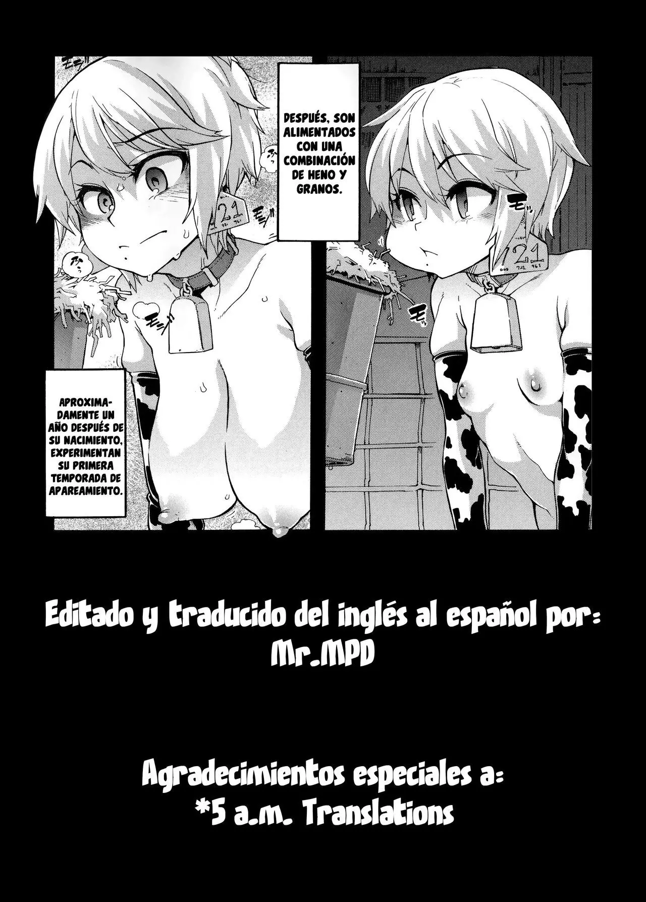 Página 39