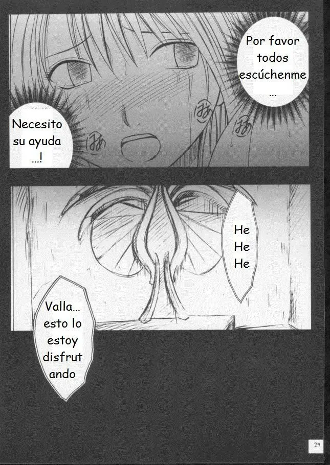 Página 27