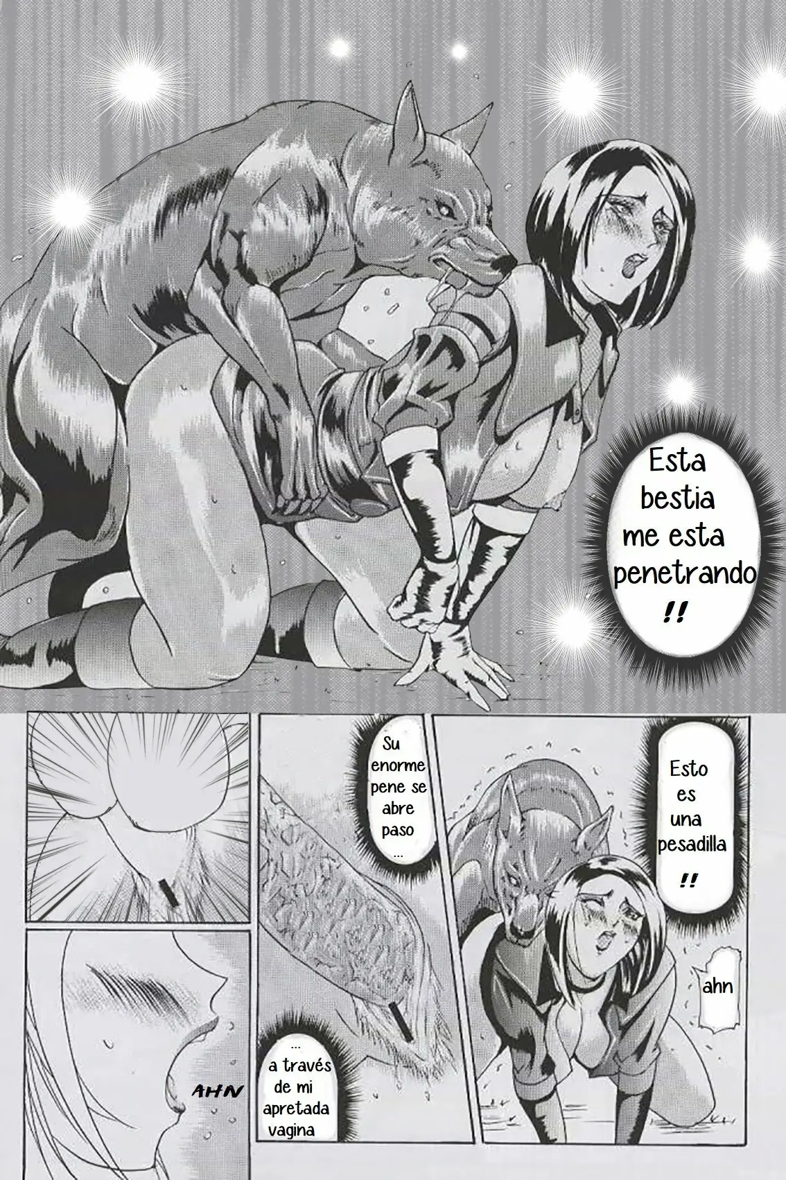 Página 11