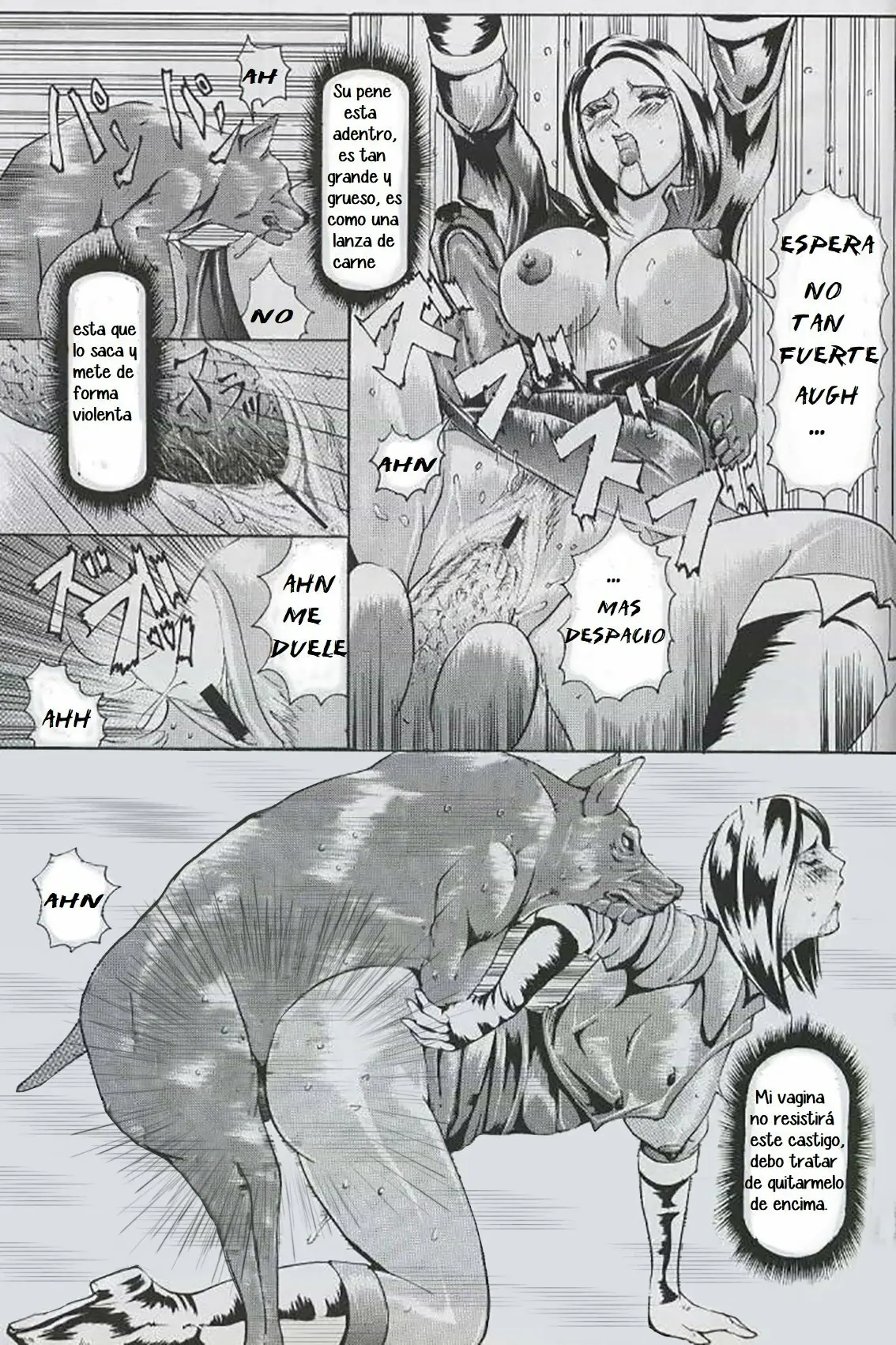 Página 12