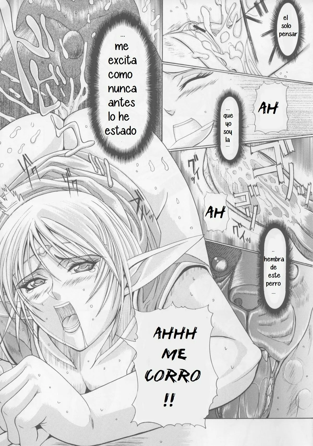 Página 26