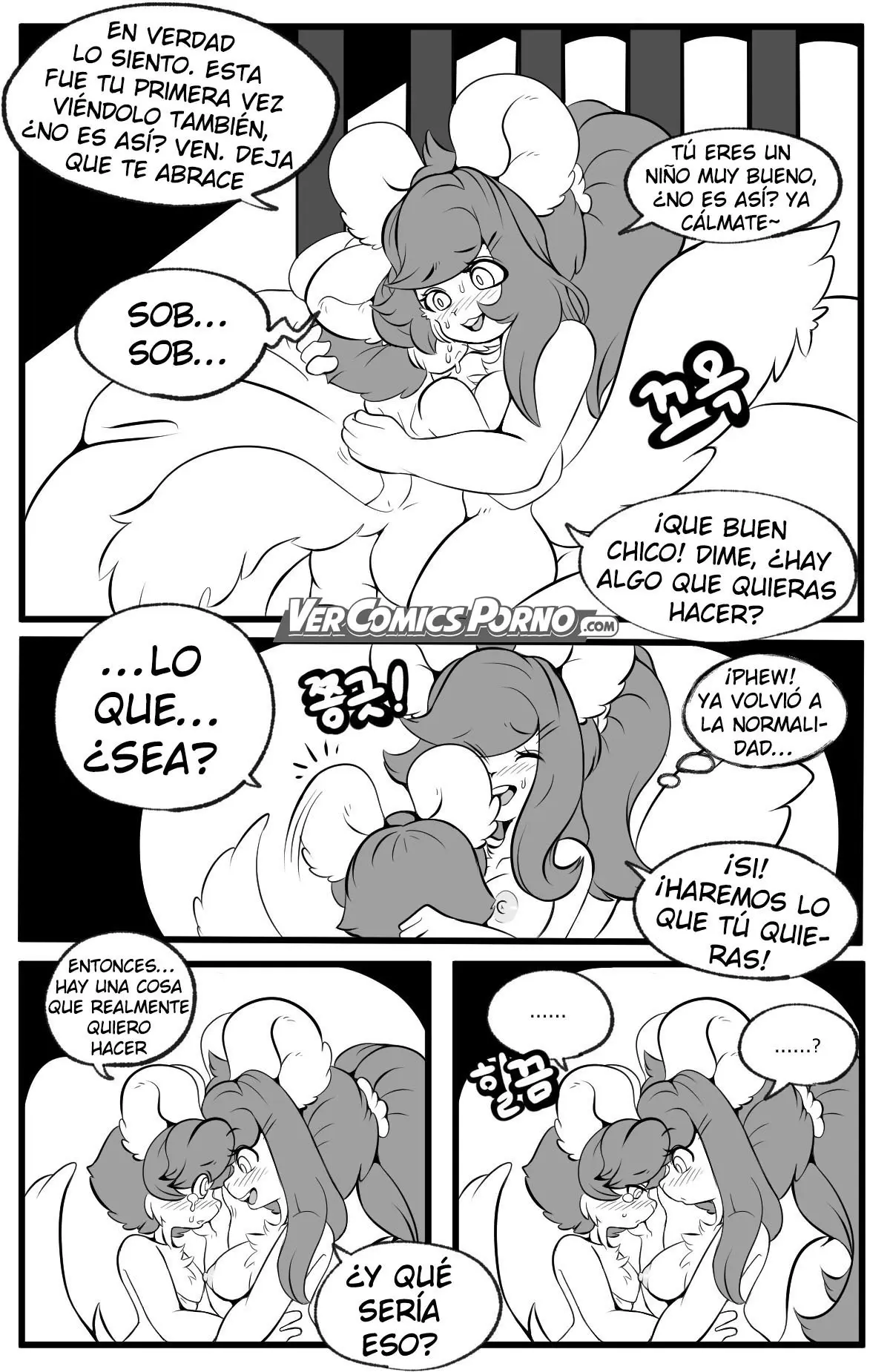 Página 17