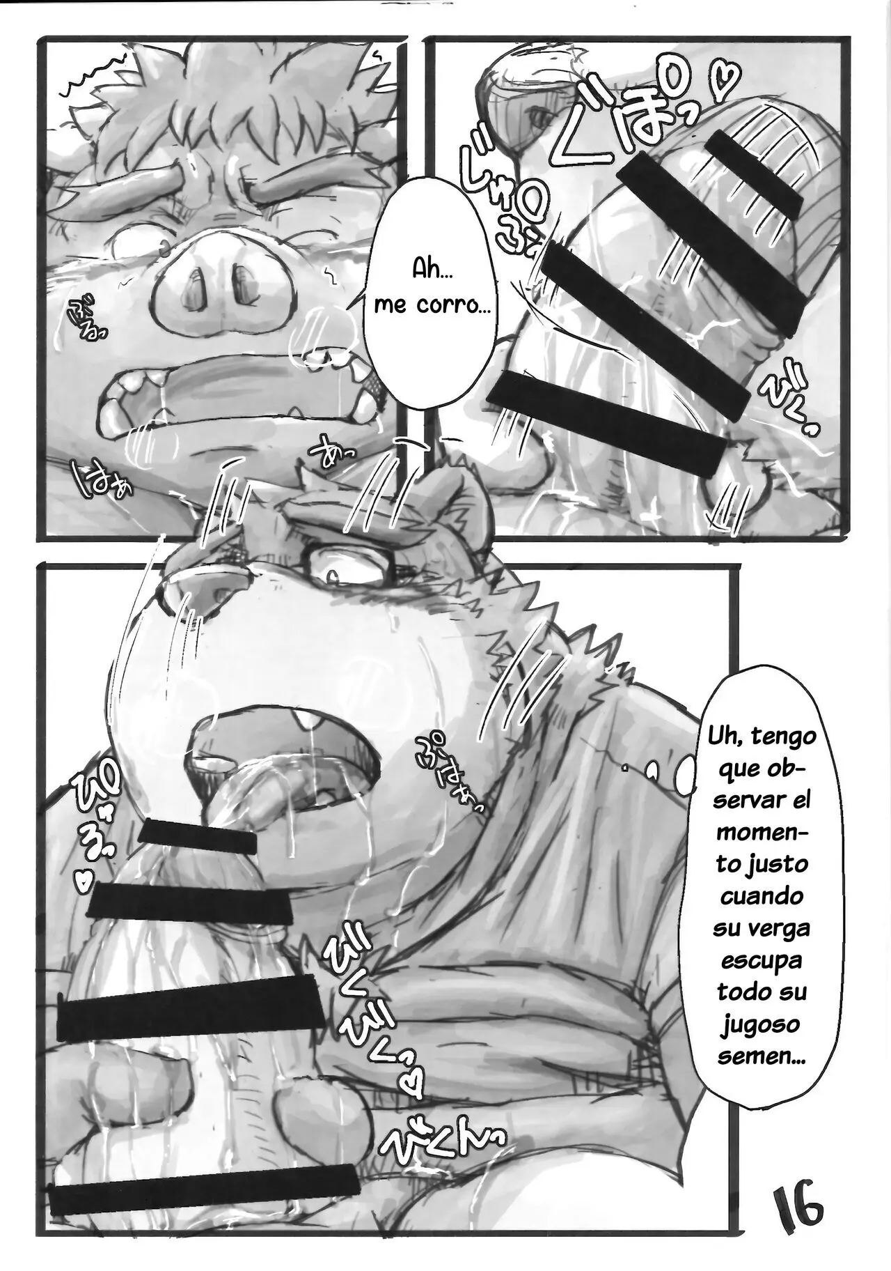 Página 15