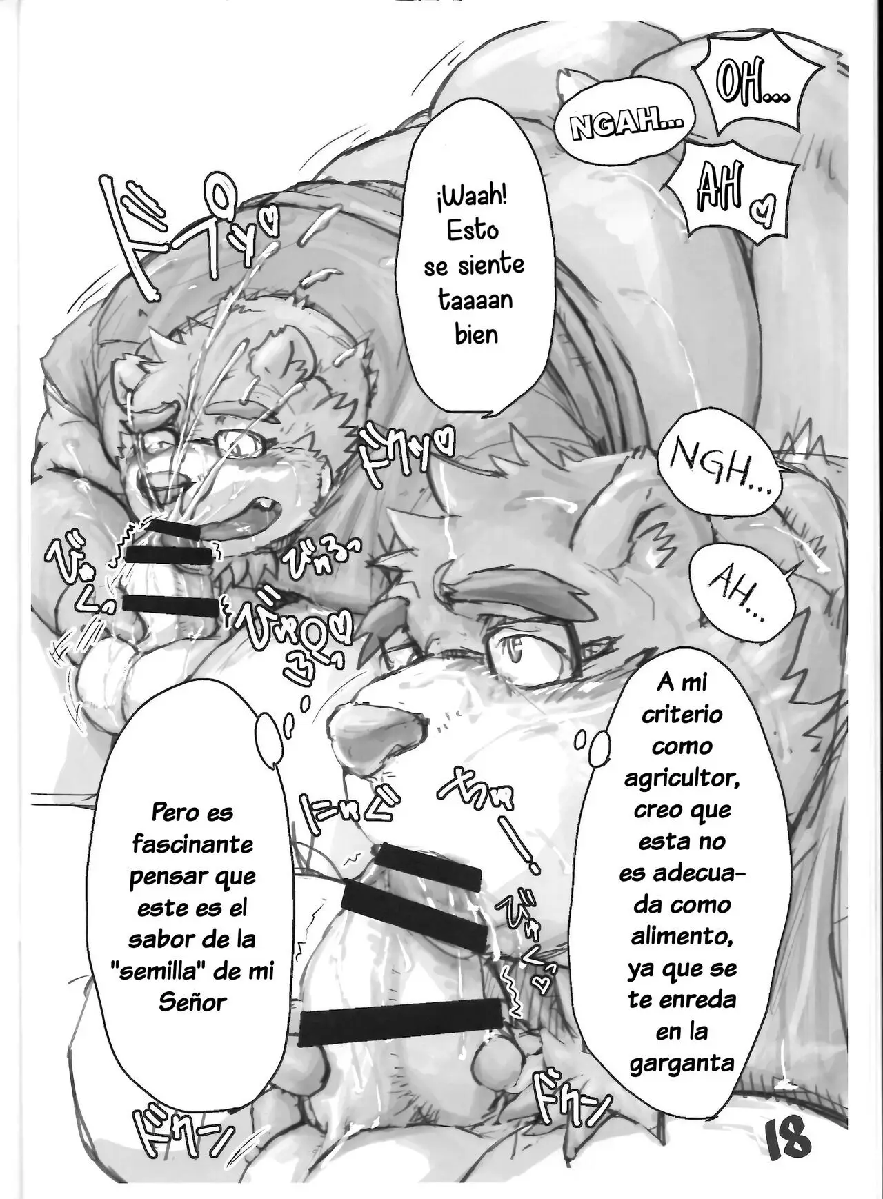 Página 17